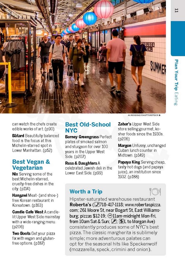 Pocket New York City, Lonely Travel Guide 7th Edition by