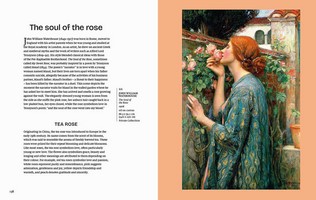 Gallery preview