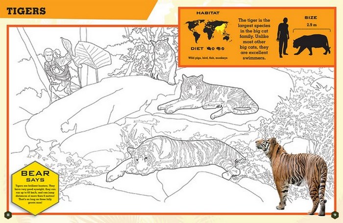 Bear Grylls Colouring Books, In the Jungle by Bear Grylls ...