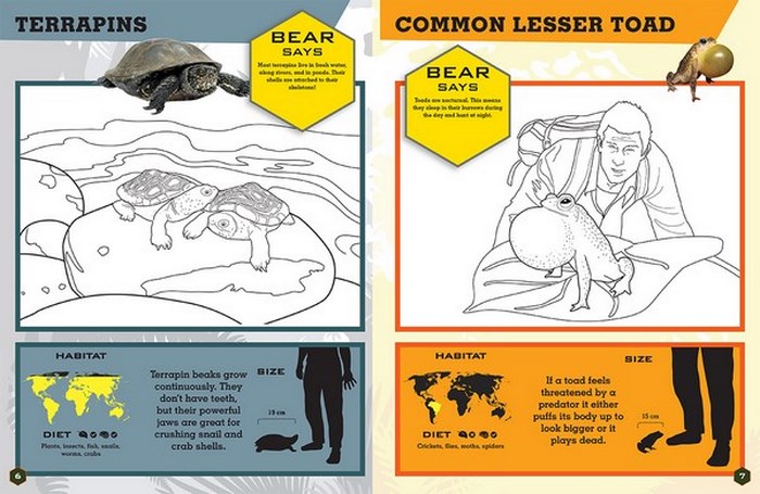 Bear Grylls Colouring Books, Reptiles by Bear Grylls | 9781786960023 ...