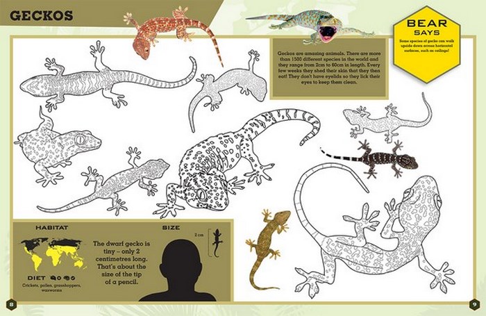 Bear Grylls Colouring Books, Reptiles by Bear Grylls | 9781786960023 ...