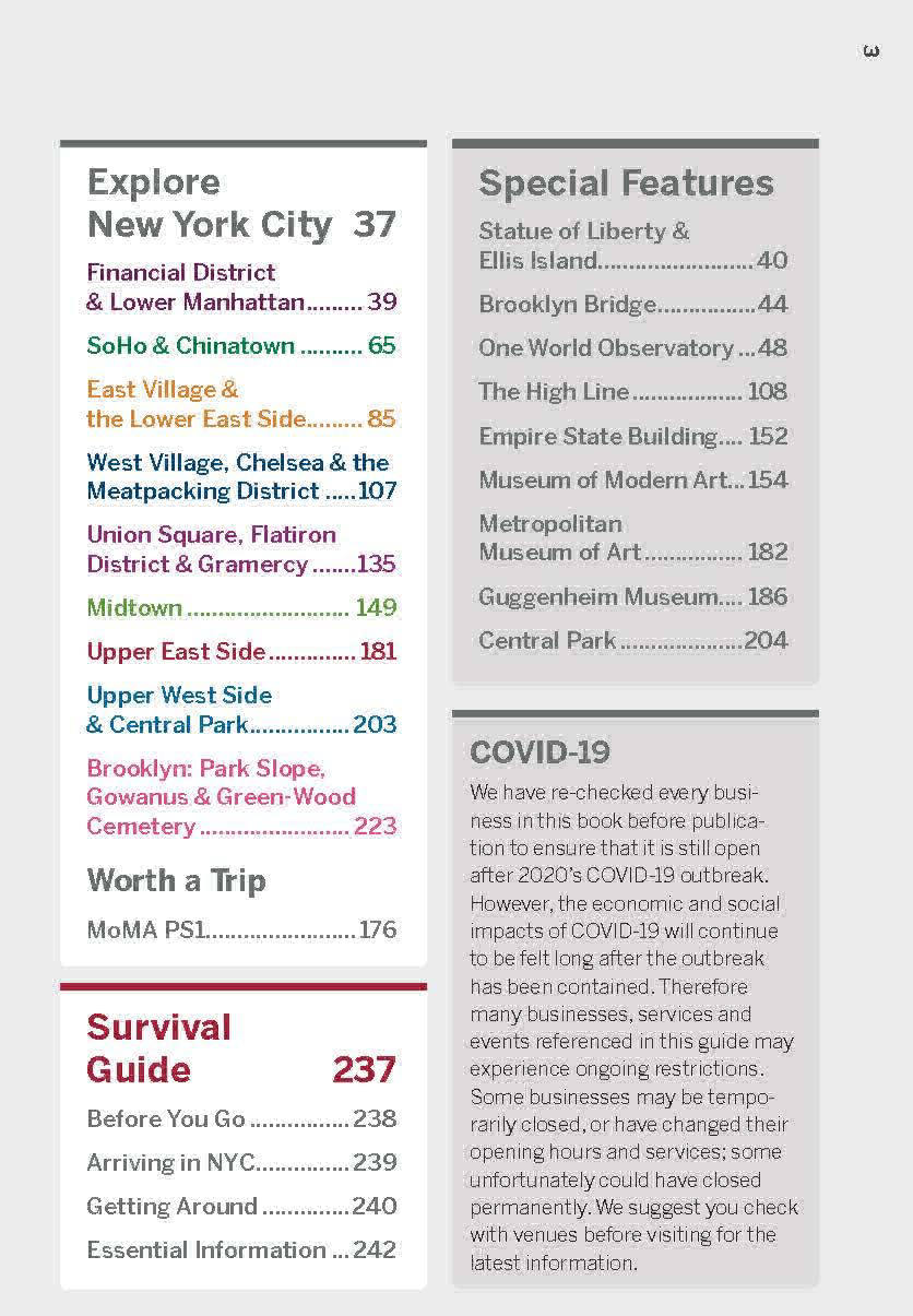 Pocket New York City, Lonely Travel Guide 8th Edition by