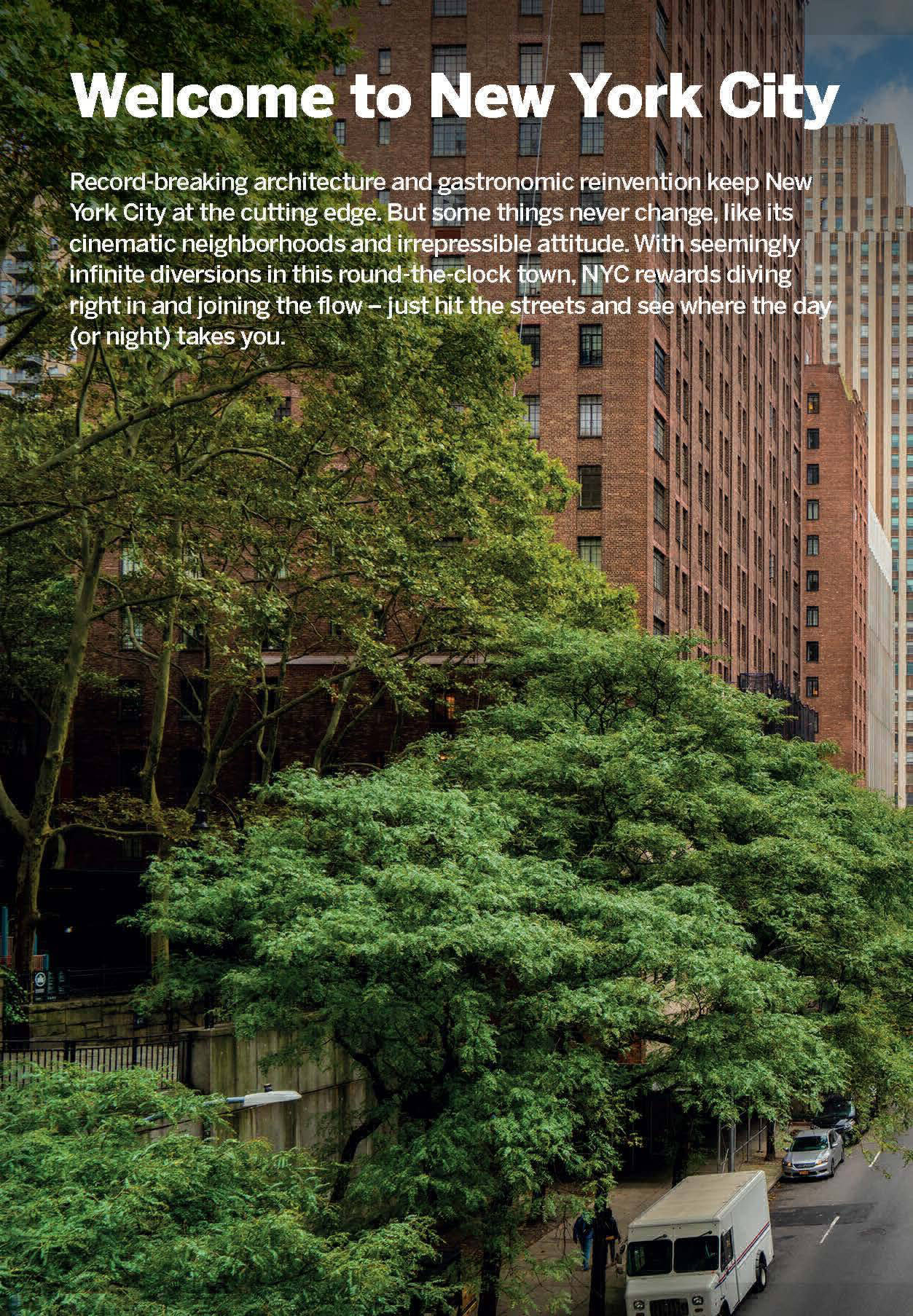 Pocket New York City, Lonely Travel Guide 8th Edition by