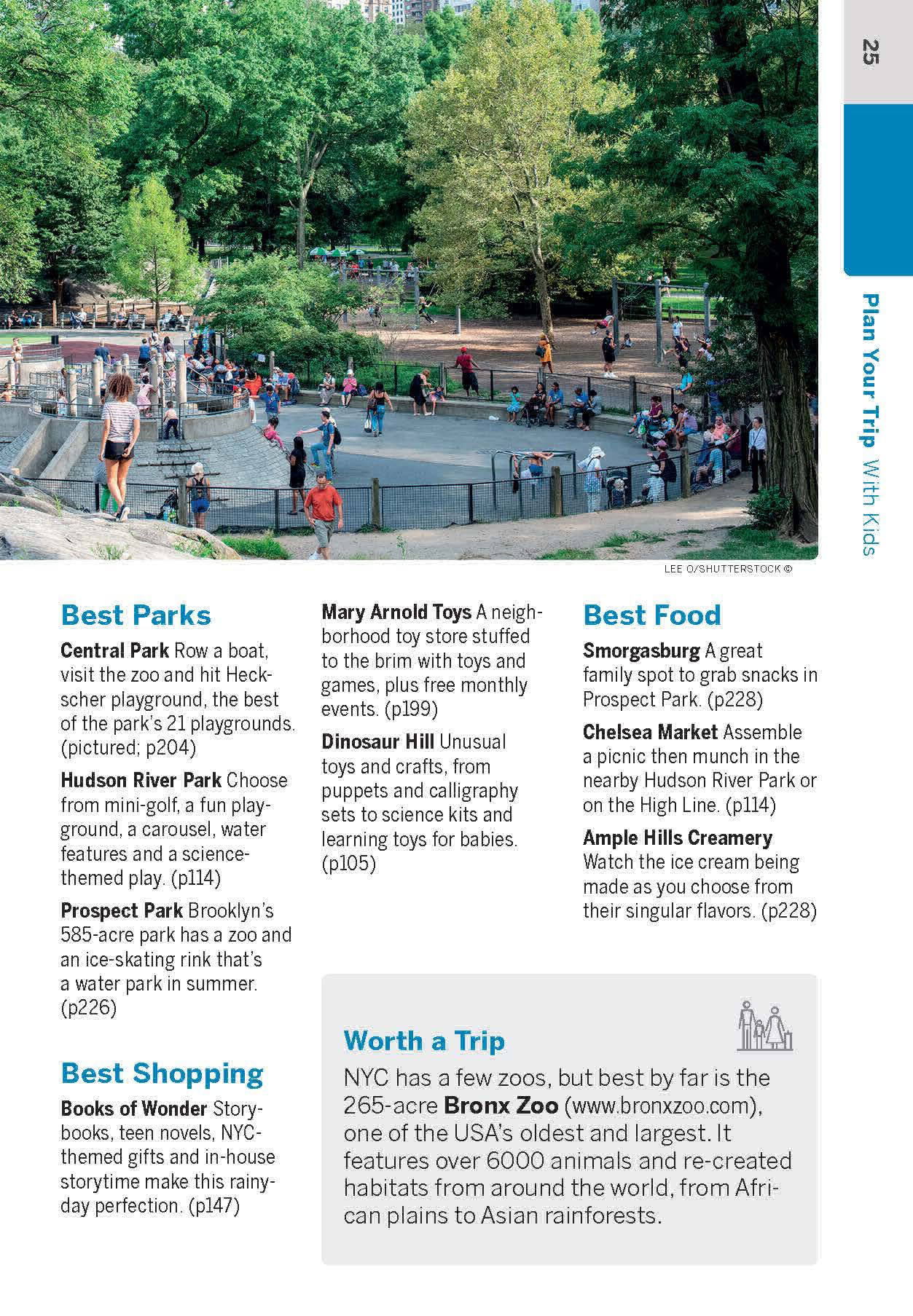 Pocket New York City, Lonely Travel Guide 8th Edition by