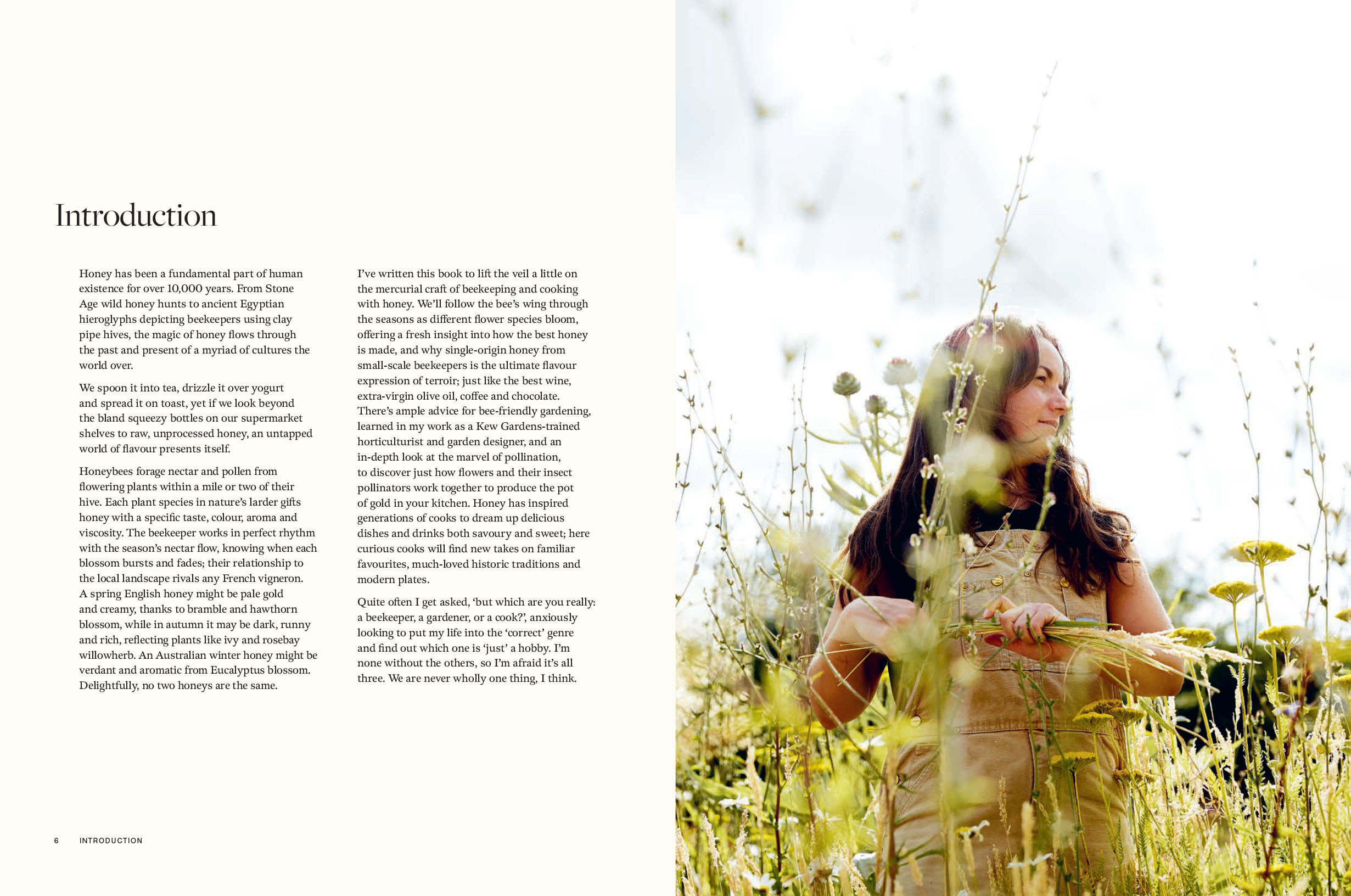 Gallery preview