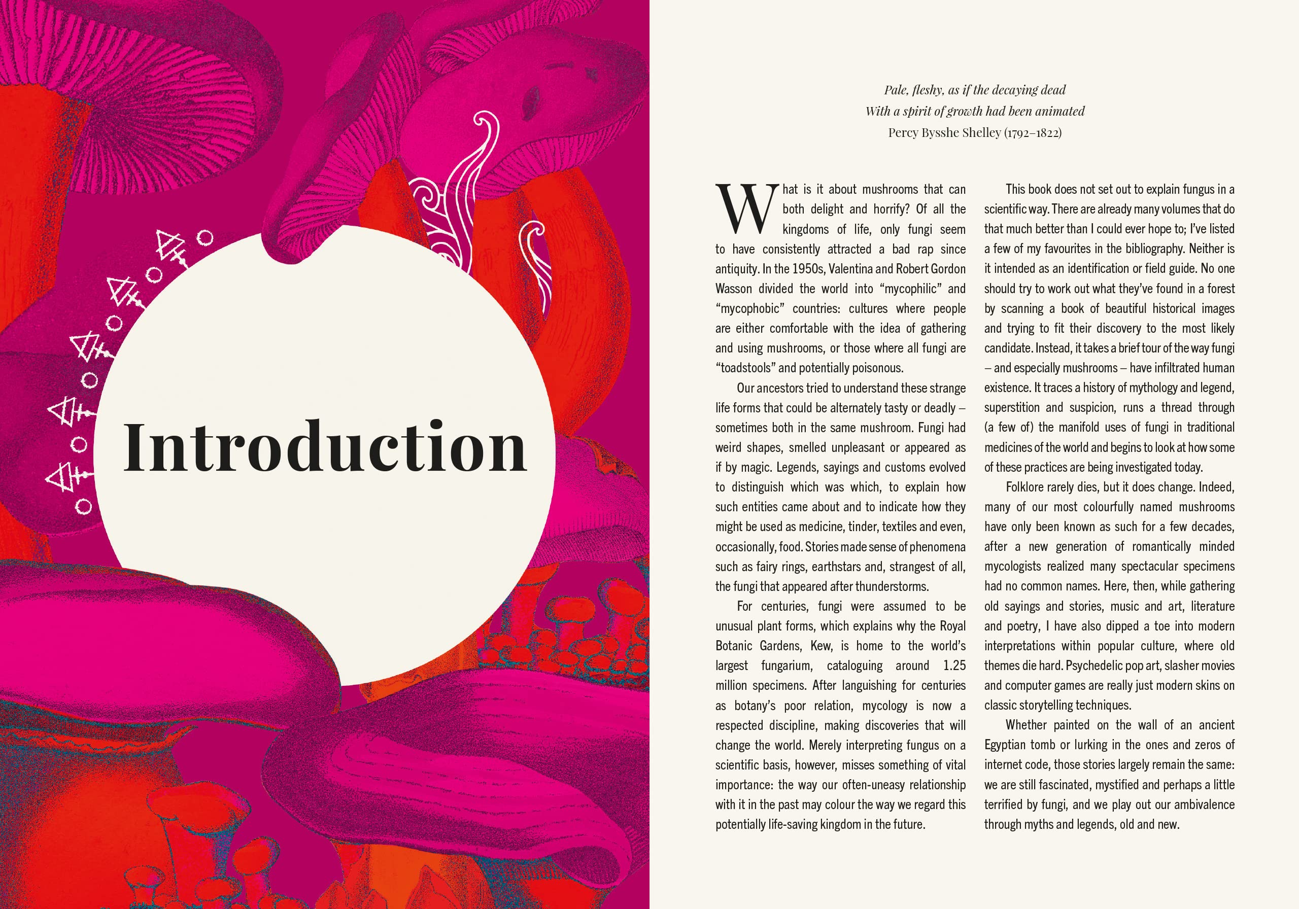 The Magic Of Mushrooms: Fungi In Folklore, Superstition And - Foto 13