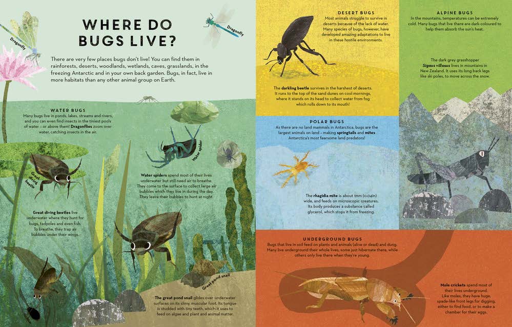 There are Bugs Everywhere by Britta Teckentrup 9781787418219 Booktopia