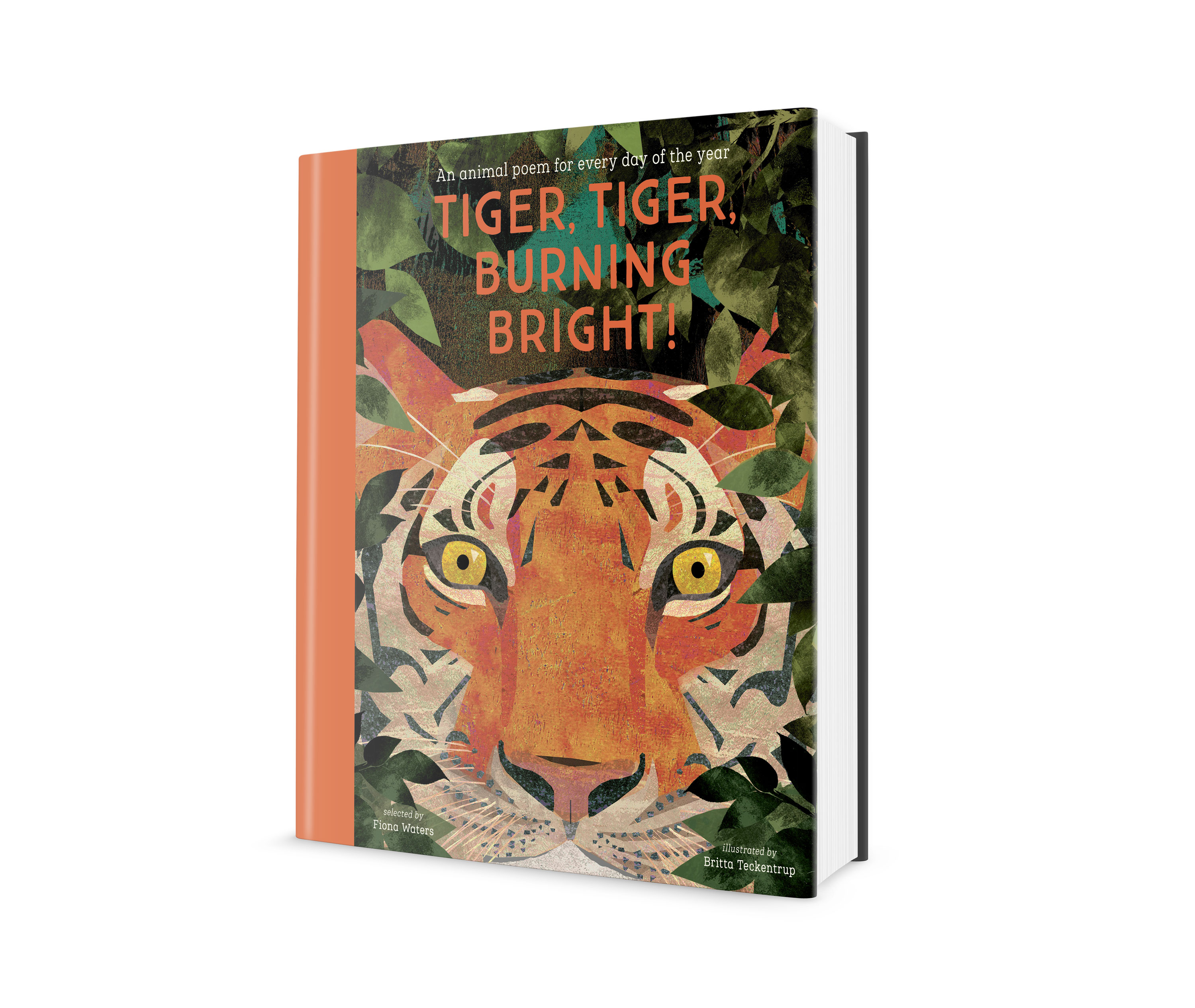 Tiger, Tiger, Burning Bright! An Animal Poem for Every Day of the