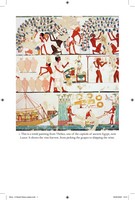 Gallery preview