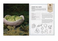 Gallery preview