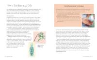Gallery preview