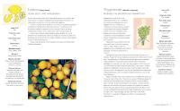 Gallery preview