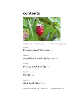 Gallery preview