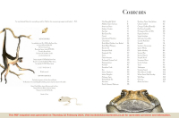 Gallery preview