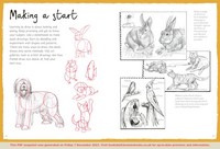 Gallery preview