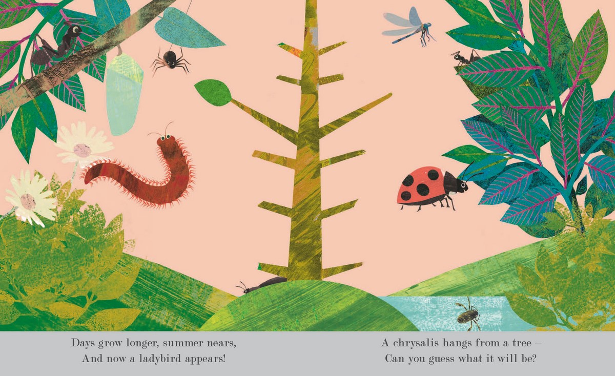 Bugs by Patricia Hegarty | 9781801042178 | Booktopia