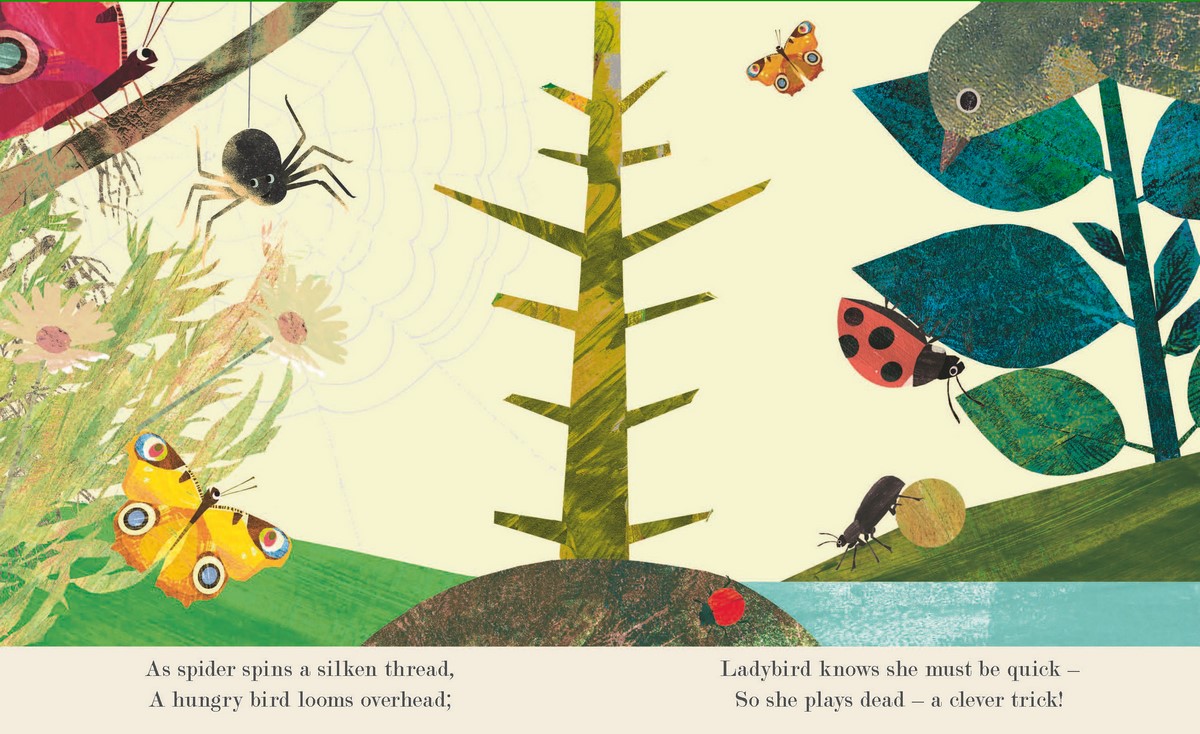 Bugs by Patricia Hegarty | 9781801042178 | Booktopia