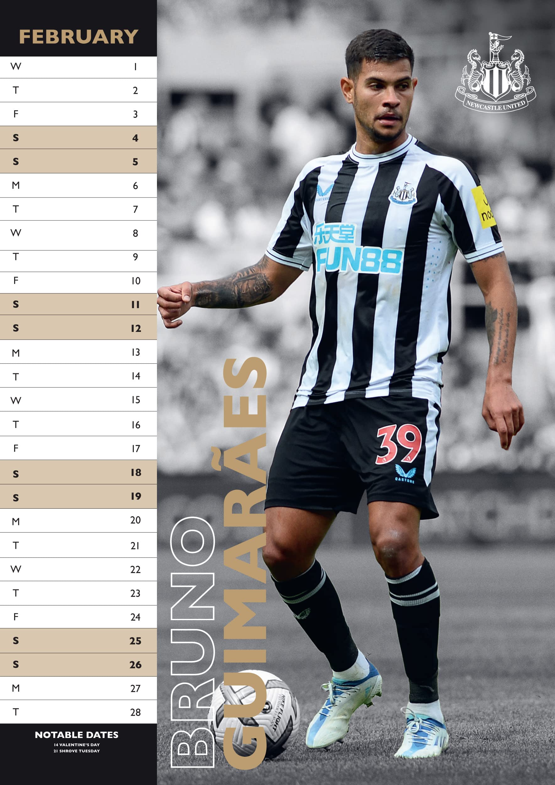 Newcastle United FC 2023 A3 Wall Calendar by Danilo Promotions