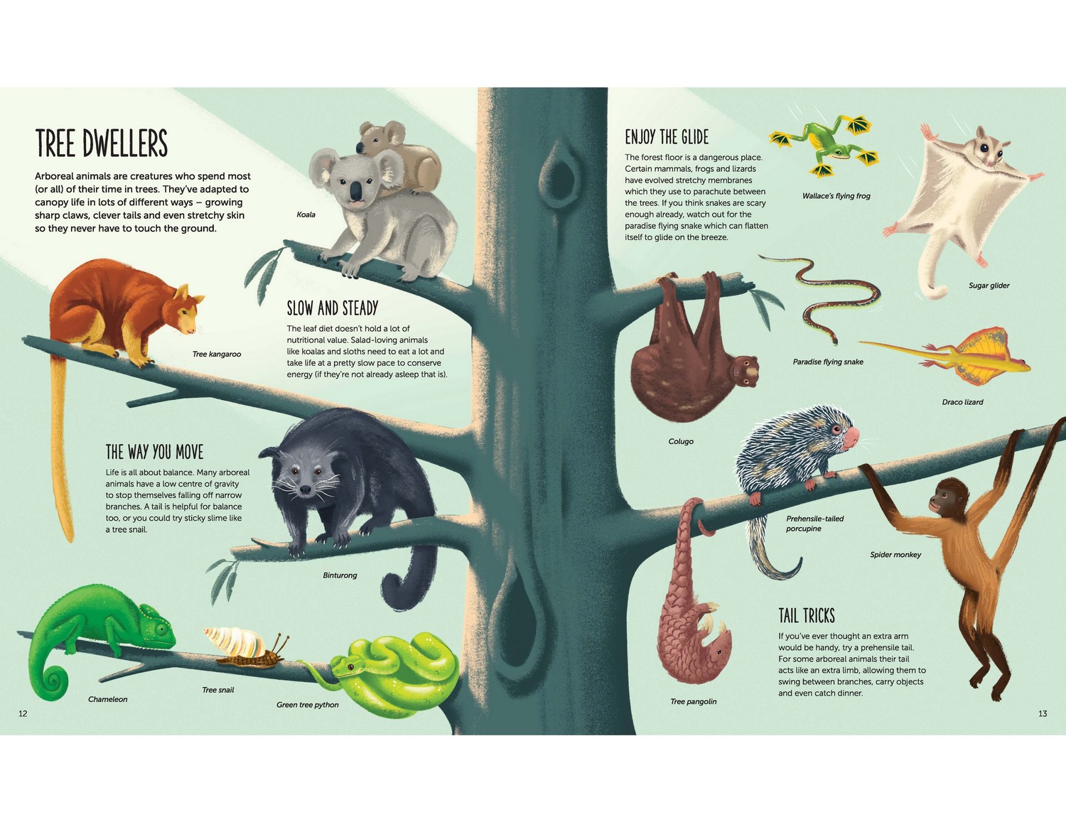 High, Soar to New Heights by Jess McGeachin | 9781803380278 | Booktopia