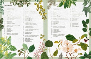 Gallery preview