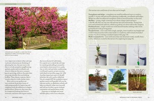 Gallery preview