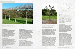 Gallery preview