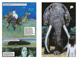 Gallery preview