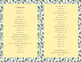 Gallery preview