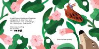 Gallery preview