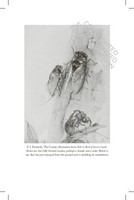 Gallery preview