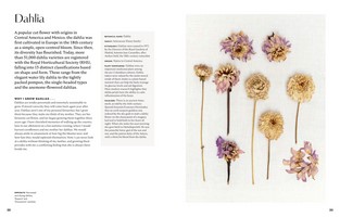 Gallery preview
