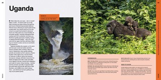 Gallery preview