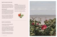 Gallery preview