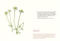 Gallery preview