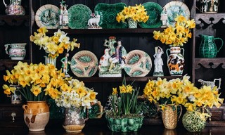 Gallery preview