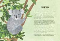 Gallery preview