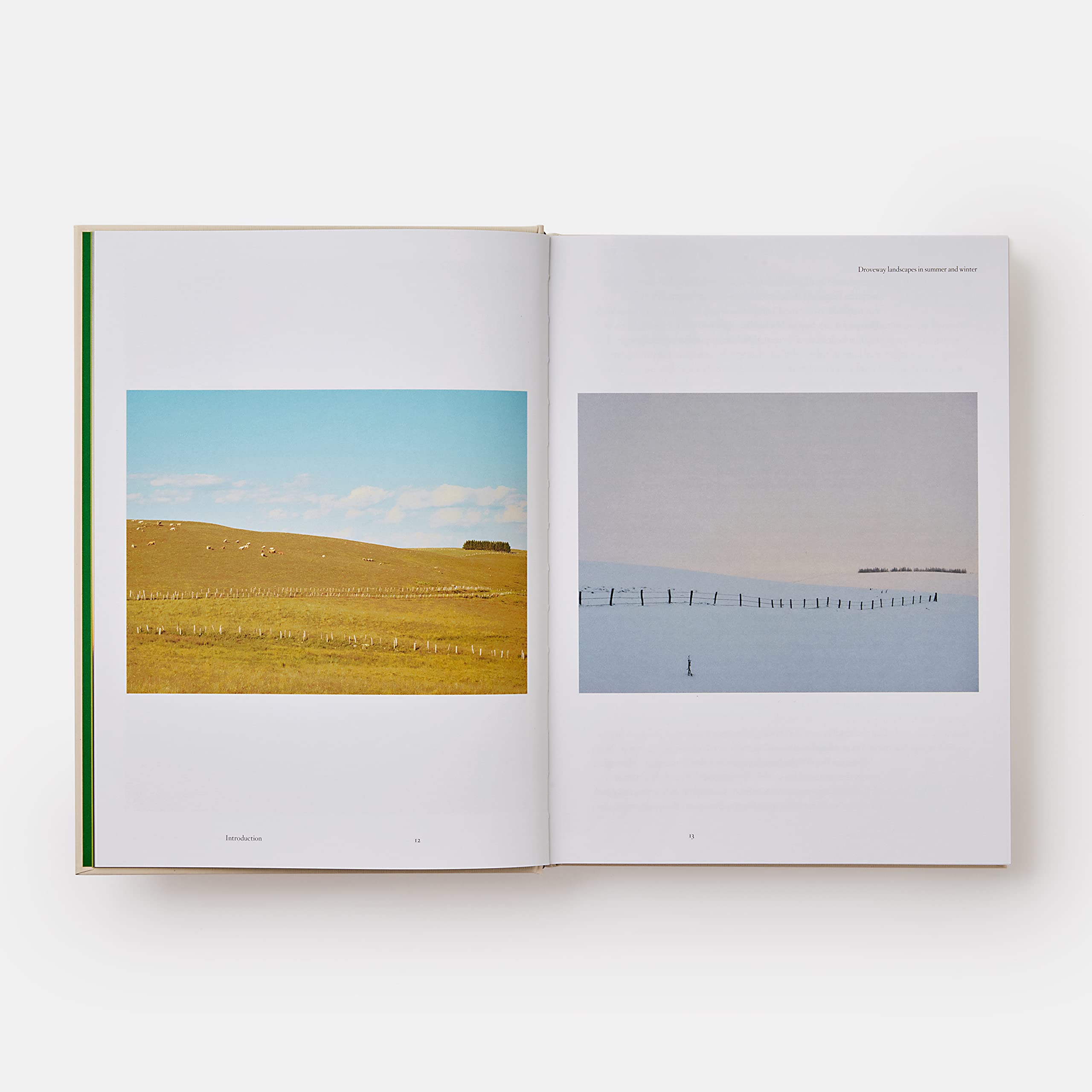 Bras: The Tastes of Aubrac, Recipes and Stories from the World-Renowned Bras: The Tastes of Aubrac, Recipes and Stories from the World-Renowned