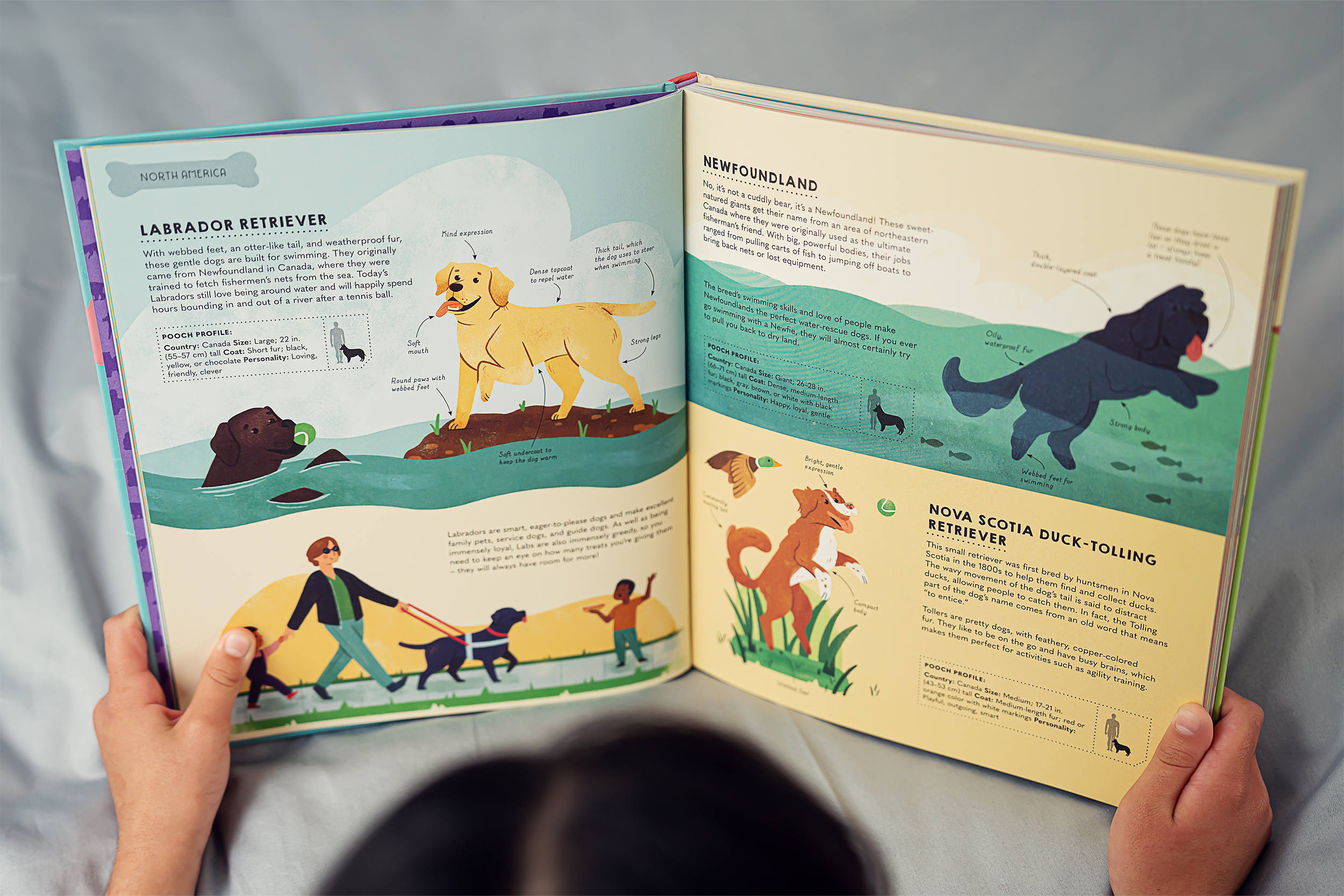Lonely Planet Kids Atlas of Dogs by Lonely Planet Kids