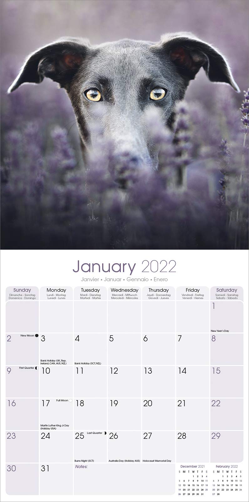 Greyhound 2022 Wall Calendar by Avonside Publishing Ltd