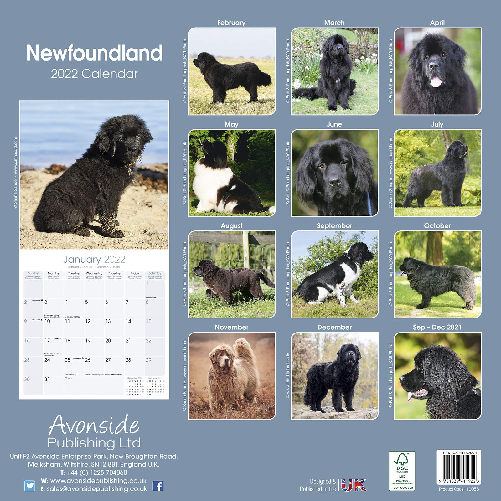 newfoundland-2022-wall-calendar-by-avonside-publishing-ltd