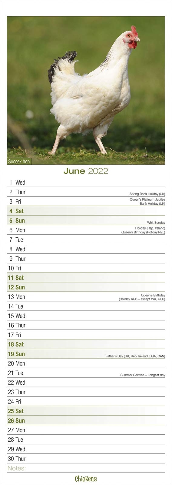 Chickens 2022 Slim Wall Calendar by Avonside Publishing Ltd