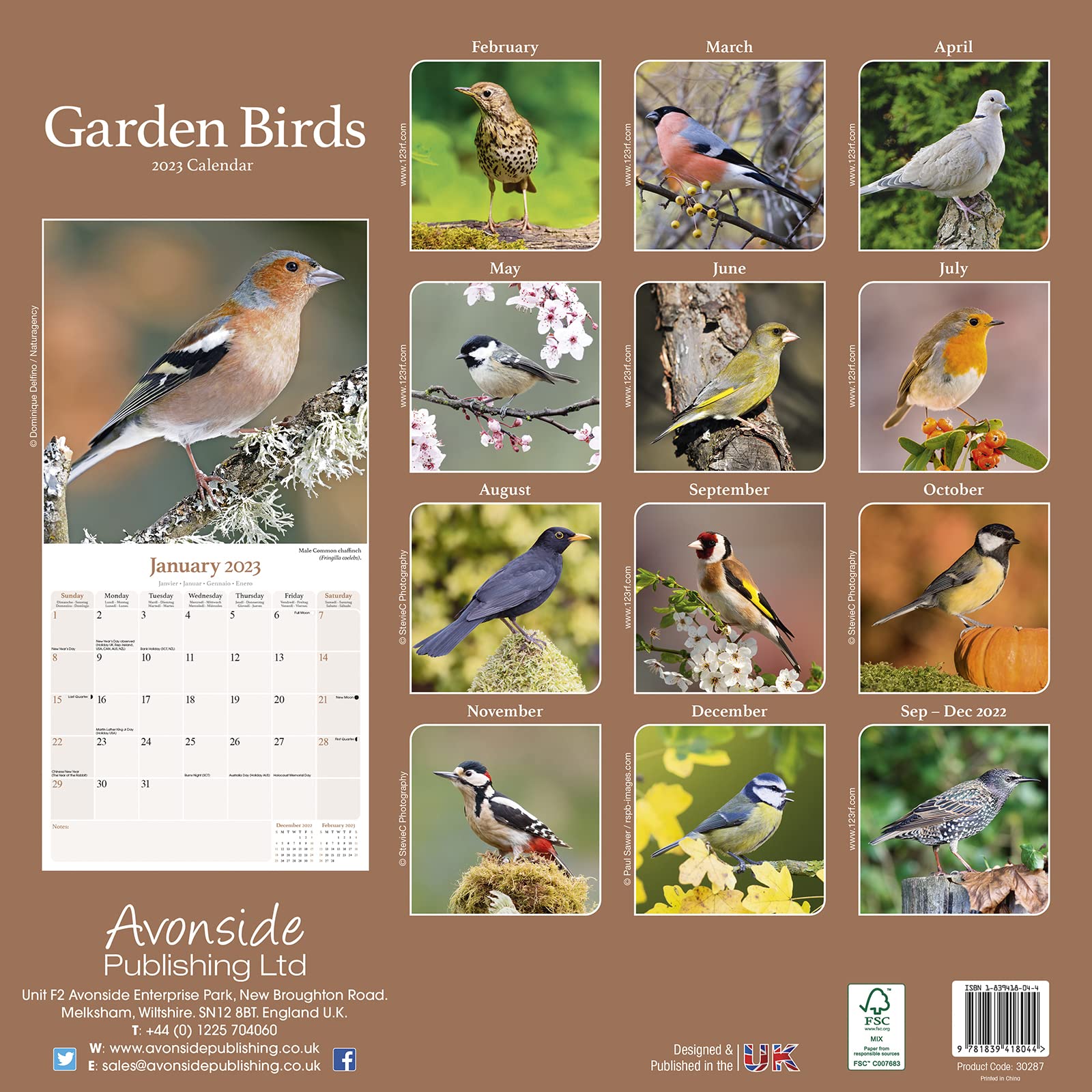 Garden Birds - 2023 Wall Calendar, Birds Calendar - 16 Month by ...