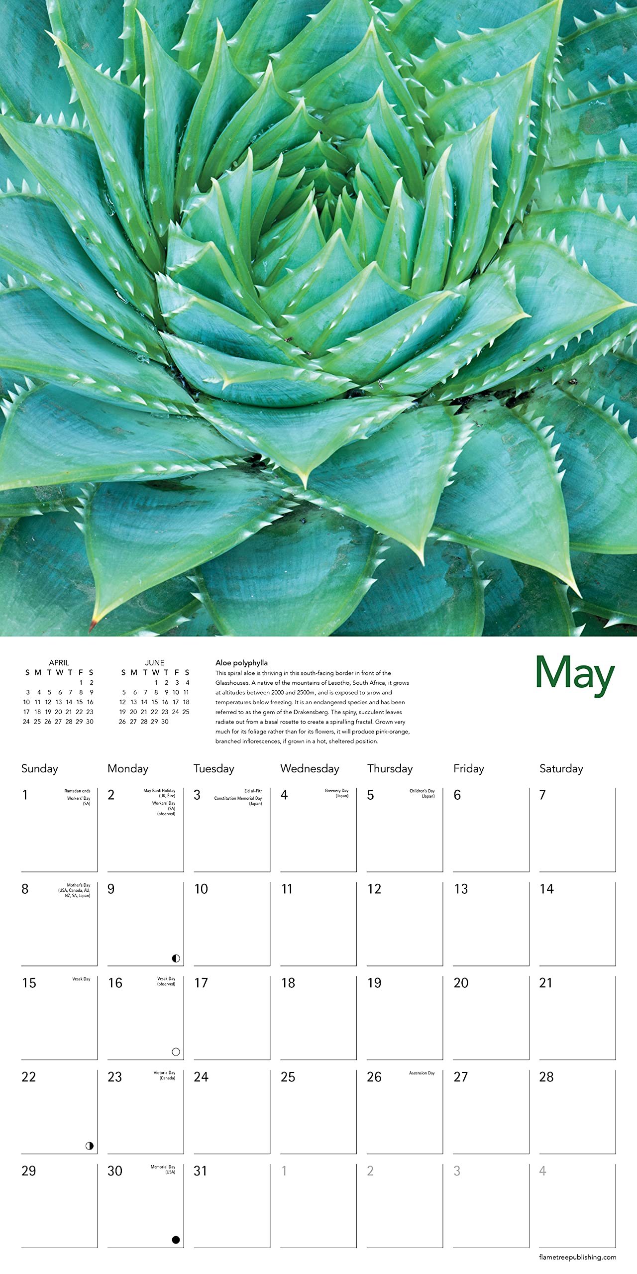 CAMBRIDGE UNIVERSITY CALENDAR 2022 visual data 6