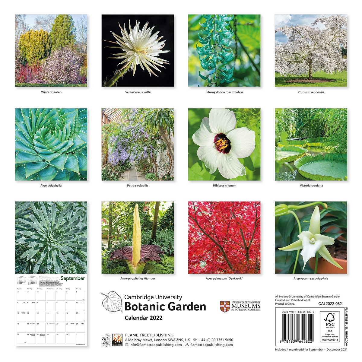 Cambridge University Botanic Garden 2022 Wall Calendar (Art Calendar