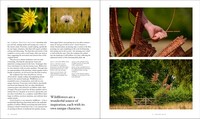 Gallery preview