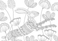 Gallery preview
