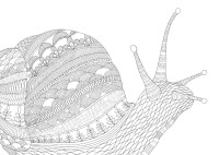 Gallery preview
