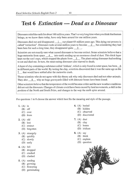 Excel Selective Schools and Scholarship Writing Tests Years 56 by Alan