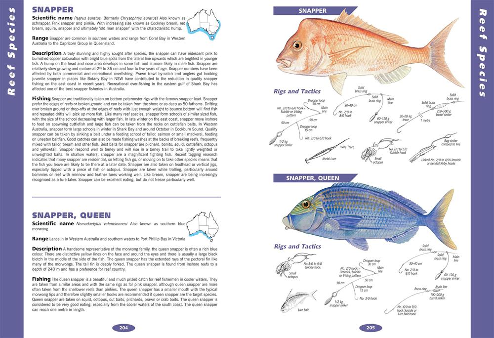 Australian Fish Guide , Now with WATER RESISTANT PAGES by Frank Prokop