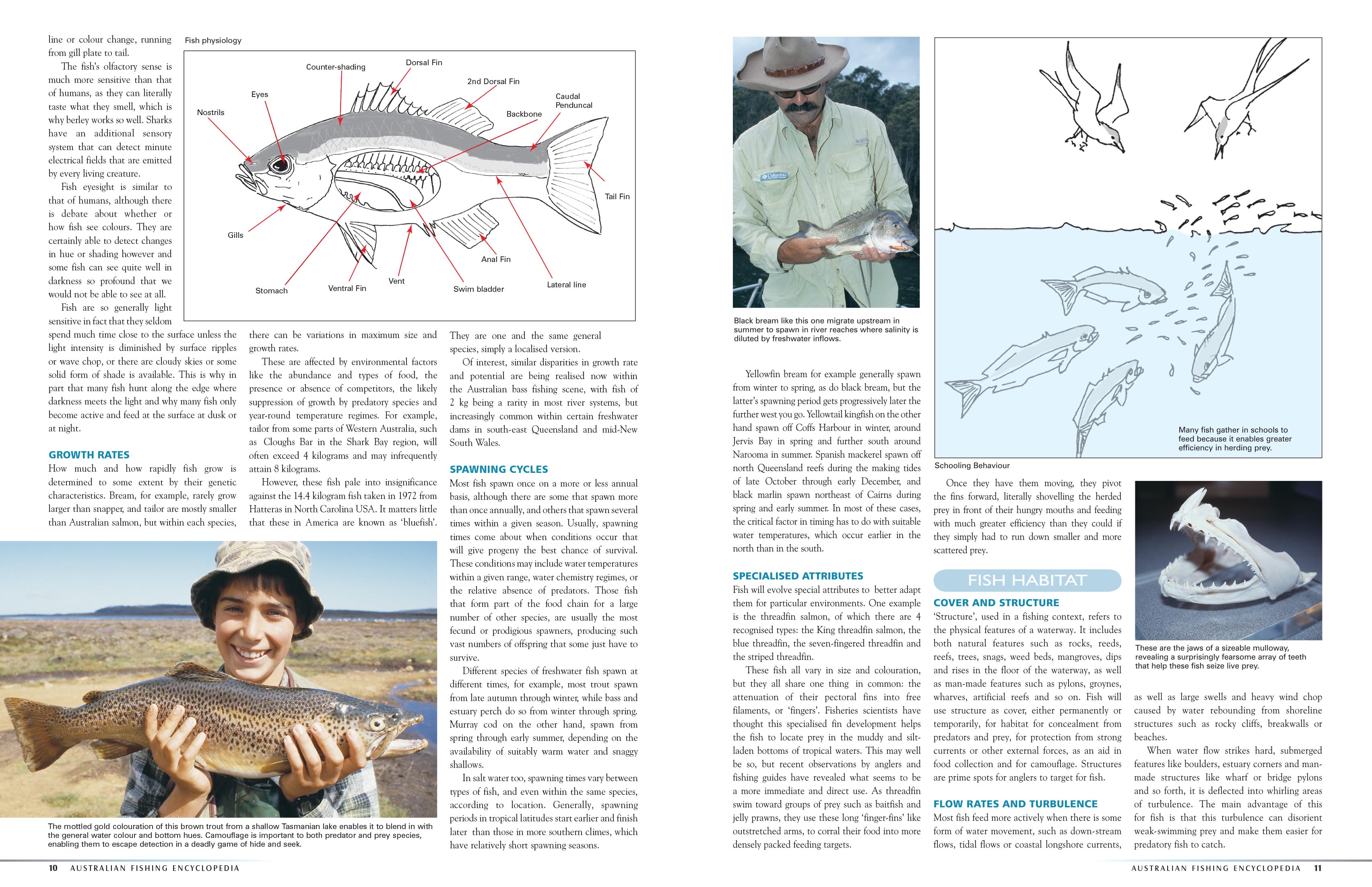 The Complete Australian Fishing Encyclopedia by Bill Classon